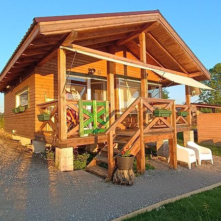 Casuta Schiorului 2, Marisel Apuseni Villa Bagian luar foto