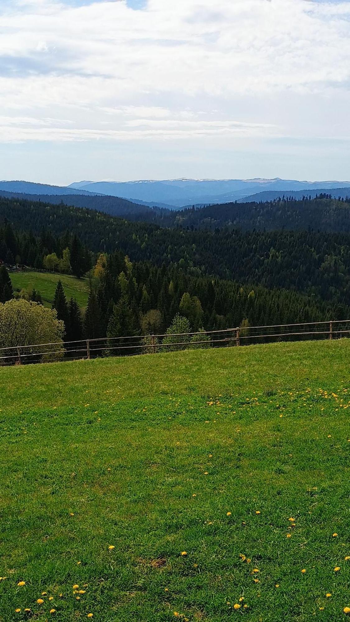 Casuta Schiorului 2, Marisel Apuseni Villa Bagian luar foto